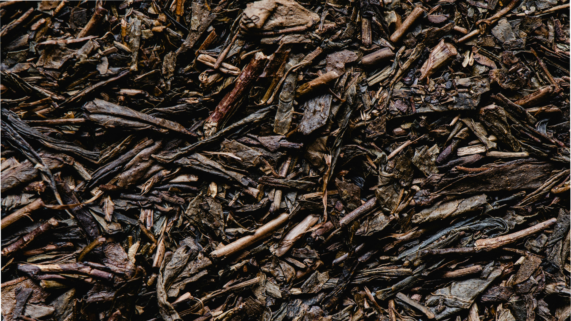 Braune geröstete Teestängel (Hojicha)