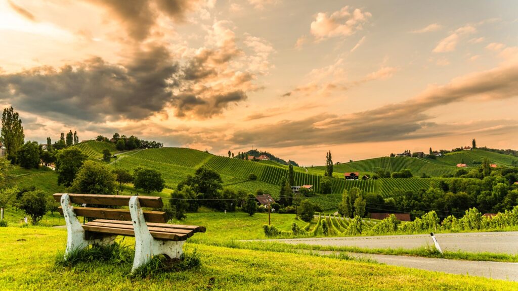 Aussicht auf Weinberge in der Steiermark.
